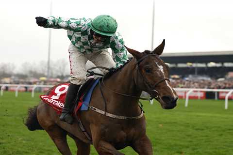 Huge King George shock as 28-1 outsider Tornado Flyer wins after rival’s last-fence fall and..