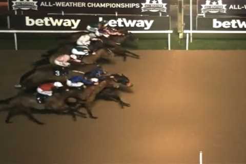 Watch incredible moment EIGHT horses cross finish line at nearly same time leaving punters stumped..