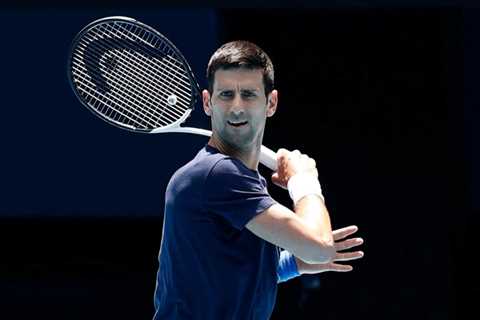 Novak Djokovic could be JAILED for three years after admitting to breaking Covid isolation while..