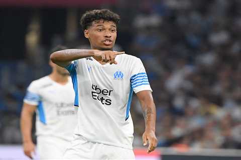 Man Utd ready to beat Leeds to bargain £10m transfer for Boubacar Kamara whose Marseille contract..