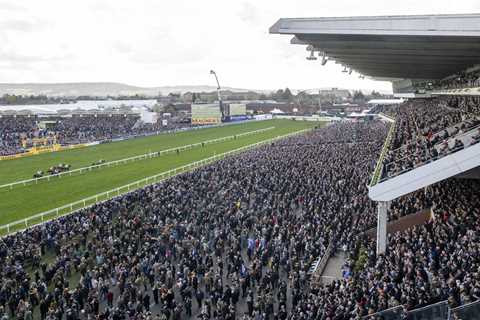 Cheltenham Festival: Record ticket sales see fastest EVER sell out for Gold Cup day… which is still ..