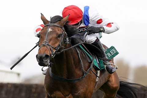 Trainer Dan Skelton not afraid of Irish as he prepares Protektorat and Nube Negra for Cheltenham..