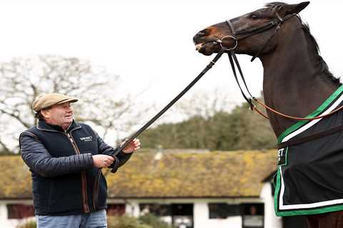 Cheltenham Festival: Giant Shishkin NOT a banker warns Nicky Henderson as he accuses Willie Mullins ..