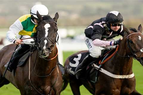 Cheltenham Festival tip: Templegate says MONSTER horse is top British hope