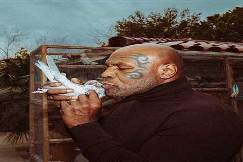 Watch Mike Tyson kiss pigeon and send his own flock of beloved birds flying in bizarre video