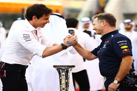 Christian Horner calls halt to Toto Wolff feud as he hails Mercedes F1 team boss for speaking out..