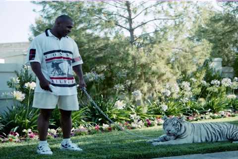 Mike Tyson slept in bed next to pet tigers whose farts were the ‘worst thing in the world’ after..