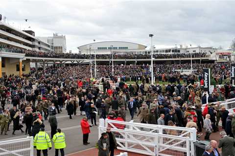 Cheltenham begin formal talks over extending Festival to FIFTH day in huge revamp despite calls for ..