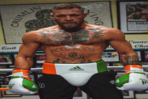 Conor McGregor shows off hulking body transformation in boxing workout ahead of UFC star’s..