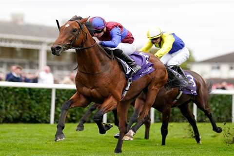 Epsom Derby favourite Luxembourg a huge doubt for £1.5million race after suffering setback in..