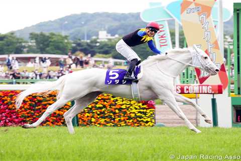 Amazing all-white wonderhorse Sodashi sparks £125million betting frenzy with huge win