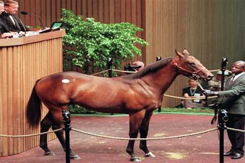 ‘Female’ horse that was sold for £120,000 for breeding turns out to be male