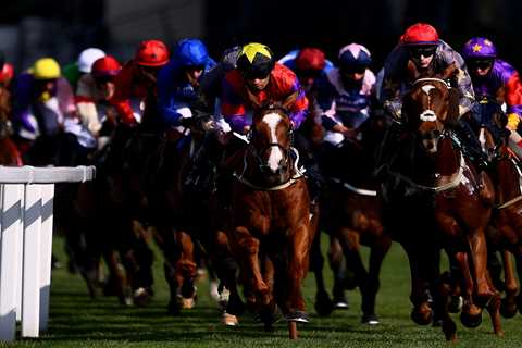 Royal Ascot: Templegate’s Magnificent Seven to back in Flat racing’s biggest week of the year