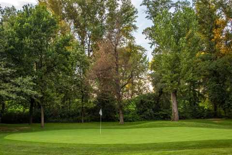 'I know what it takes': New Missouri women's golf coach Caroline Westrup plans to take Tigers to..