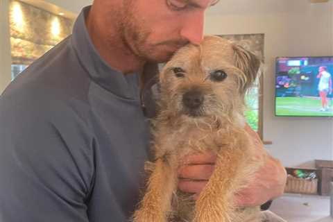 ‘This really hurts’ – Andy Murray’s heartbreaking post after beloved dog ‘Maggie Mayhem’ dies..