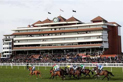 ‘Can I enter my cat?’ – Racing farce as NO horses declared for big Newbury race despite bumper..