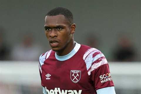 Fulham confirm Issa Diop signing as defender makes £15m switch from West Ham