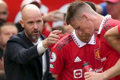 Ten Hag is the ‘right manager’ to help Man Utd to progress like Arsenal – Cleverley