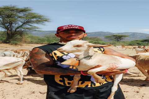 Fans all saying the same thing as F1 legend Lewis Hamilton shares picture with a goat, calling it..