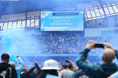 Man City fan banned from football games for THREE YEARS for pitch invasion that saw Aston Villa..