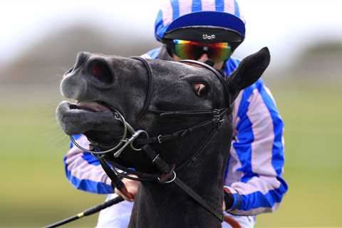 ‘I won’t be coming back’ – punters in disbelief as Catterick ABANDONED due to unsafe ground after 1...