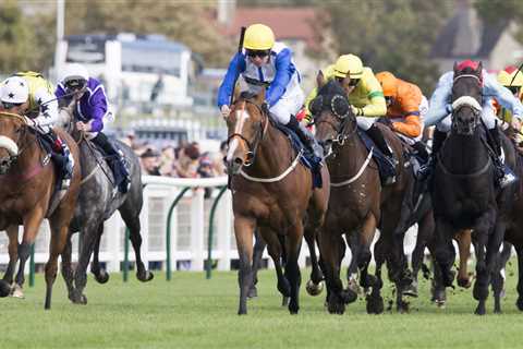 Ayr Gold Cup CONFIRMED runners and riders for Saturday’s massive betting bonanza