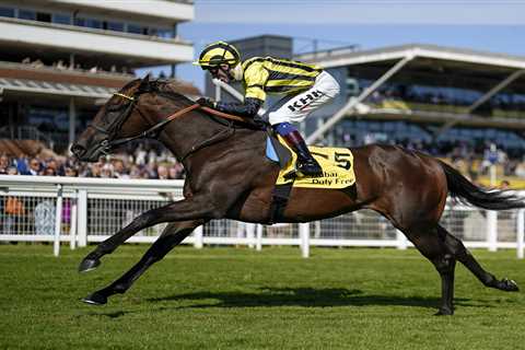 ‘Blown away’ – top trainer Roger Varian hammers bookies with mega 9,290-1 six-timer on Saturday