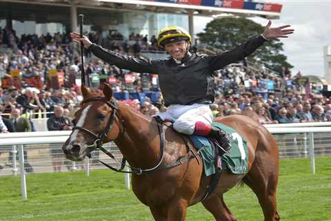 ‘The music has stopped’ – Legendary horse Stradivarius famed for partnership with Frankie Dettori..