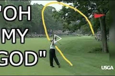 Tiger Woods   A True Golf Artist