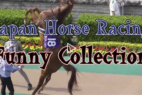 Japanese Horse Racing funny cute videos