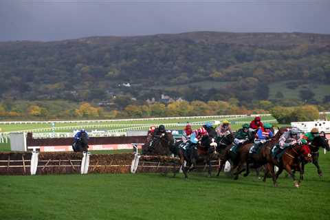 Punters outraged after family forced to throw food in the bin before entering Cheltenham racecourse