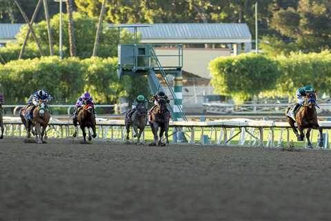 Inside the mind of world’s greatest horse Flightline – a padded stall, kicking the walls and..