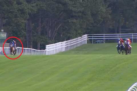 Jockey ‘stitches up’ rivals with amazing ride even losing punters have to stop and applaud