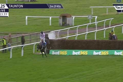 Punters in a state of shock as certain winner throws away victory with final-fence disaster