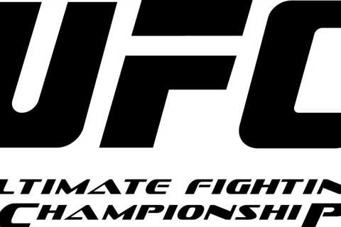 Ranking Top 10 Best MMA Organizations (Promotions)