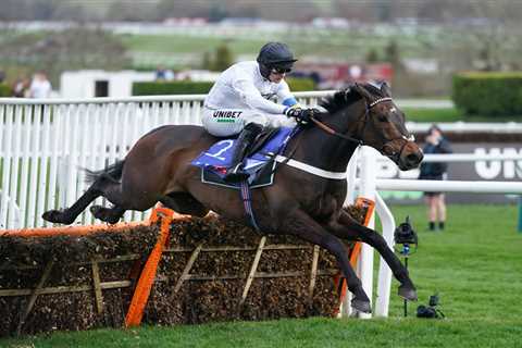 ‘He is a freak’ – Nicky Henderson blown away as Champion Hurdle favourite Constitution Hill bolts..