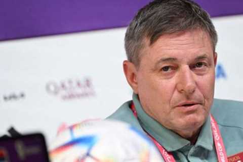 World Cup 2022: Serbia looking to make holes in ‘Swiss cheese’ defence – Stojkovic