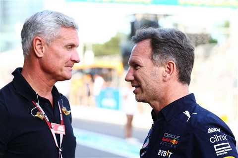 “Red Bull and Christian Horner are sensitive to any criticism of what they do,” claims former F1..