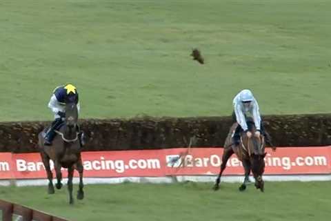 ‘It was extraordinary’ – Ruby Walsh among thousands stunned by ‘shocking’ horse race