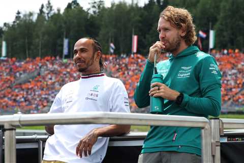 Lewis Hamilton ‘not in same class’ as Sebastian Vettel with Brit told he was way ahead in terms of..