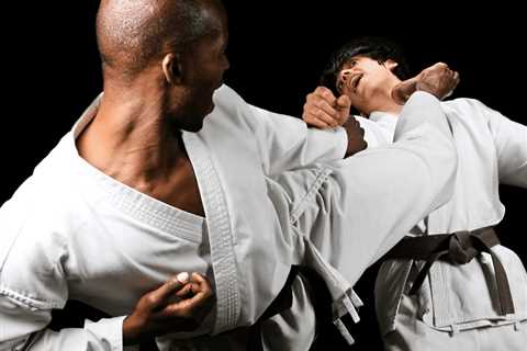 Shotokan Karate (History, Belt Order, Stances, Kicks, Punches)