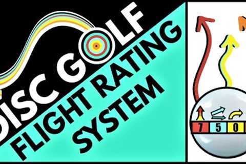 What Do The Numbers On The Disc Mean? | Flight Rating System