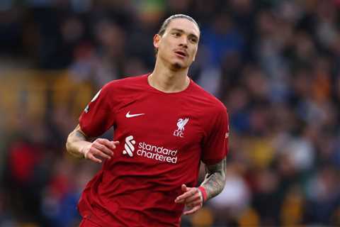 Former Liverpool boss Rafa Benitez likens Darwin Nunez to ex-Anfield hero Fernando Torres after..