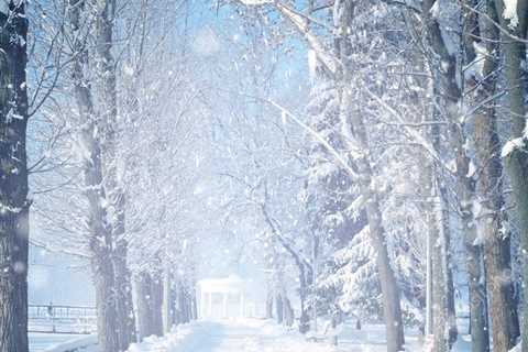 Creative Writing Ideas for Winter in Burlington, Vermont