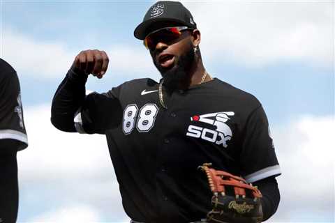 New White Sox Manager Raves About A Rising Star