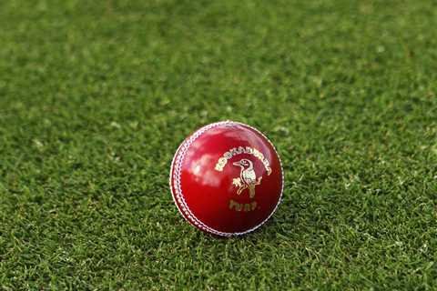 Zimbabwe vs Netherlands LIVE: ICC Cricket World Cup Super League 2020-22 cricket updates today