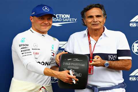 What did Nelson Piquet say about Lewis Hamilton, and who is the former driver?