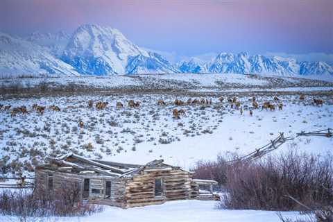 Winter Wonderlands for the Adventurer