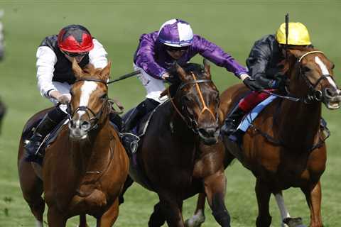 Aidan O’Brien says top stayer Kyprios to miss chunk of season but has positive news on Classic..