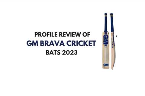 GM Brava Cricket Bat 2023 - Complete Bat review